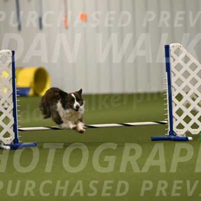 Jonny-Quest-Leslie-Masterson-10994