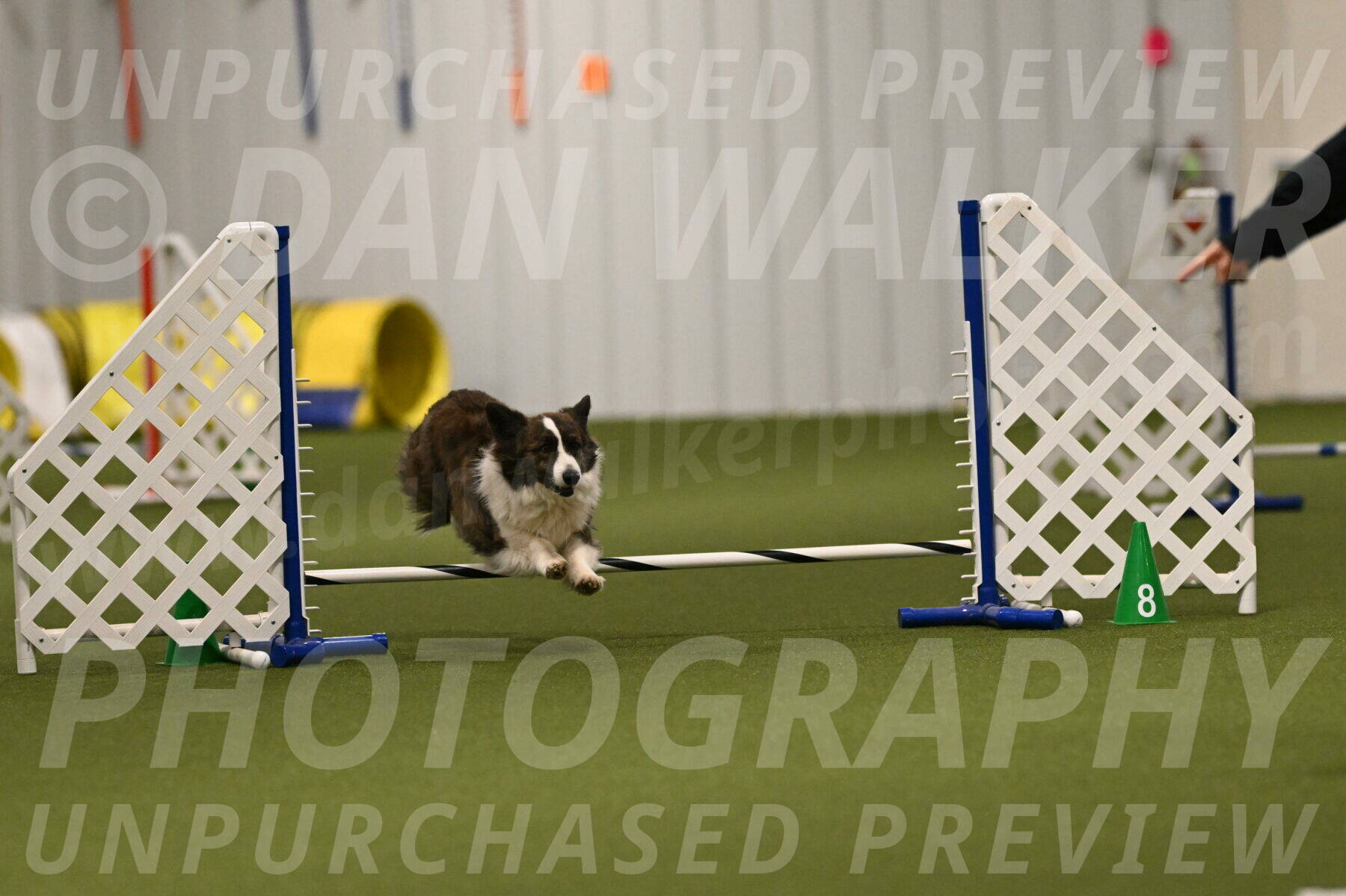 Jonny-Quest-Leslie-Masterson-10994