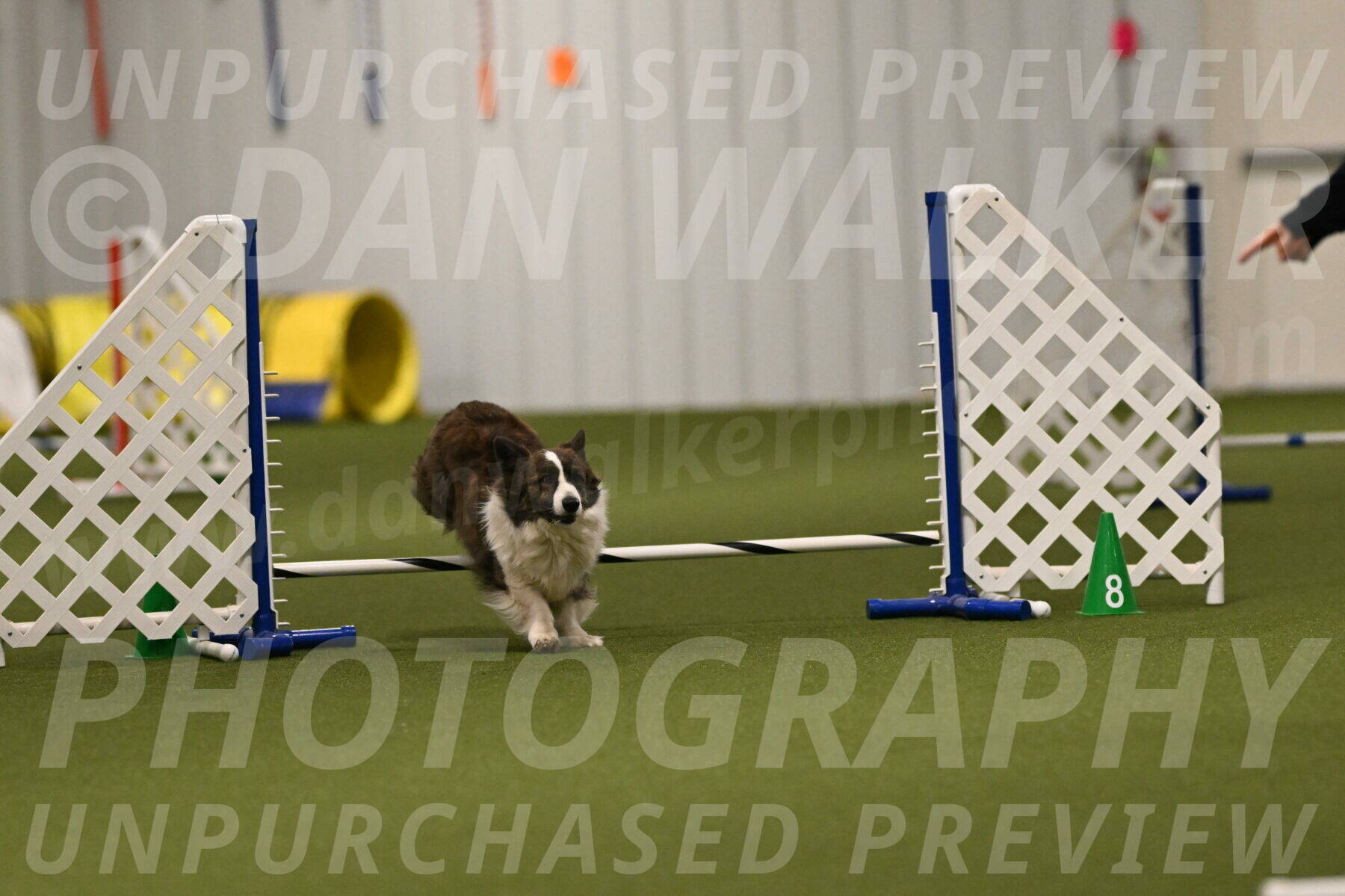 Jonny-Quest-Leslie-Masterson-10995