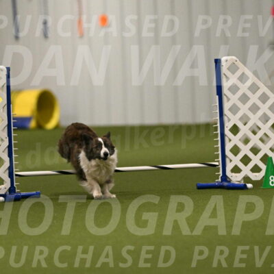 Jonny-Quest-Leslie-Masterson-10995