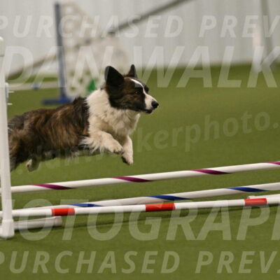 Jonny-Quest-Leslie-Masterson-10996