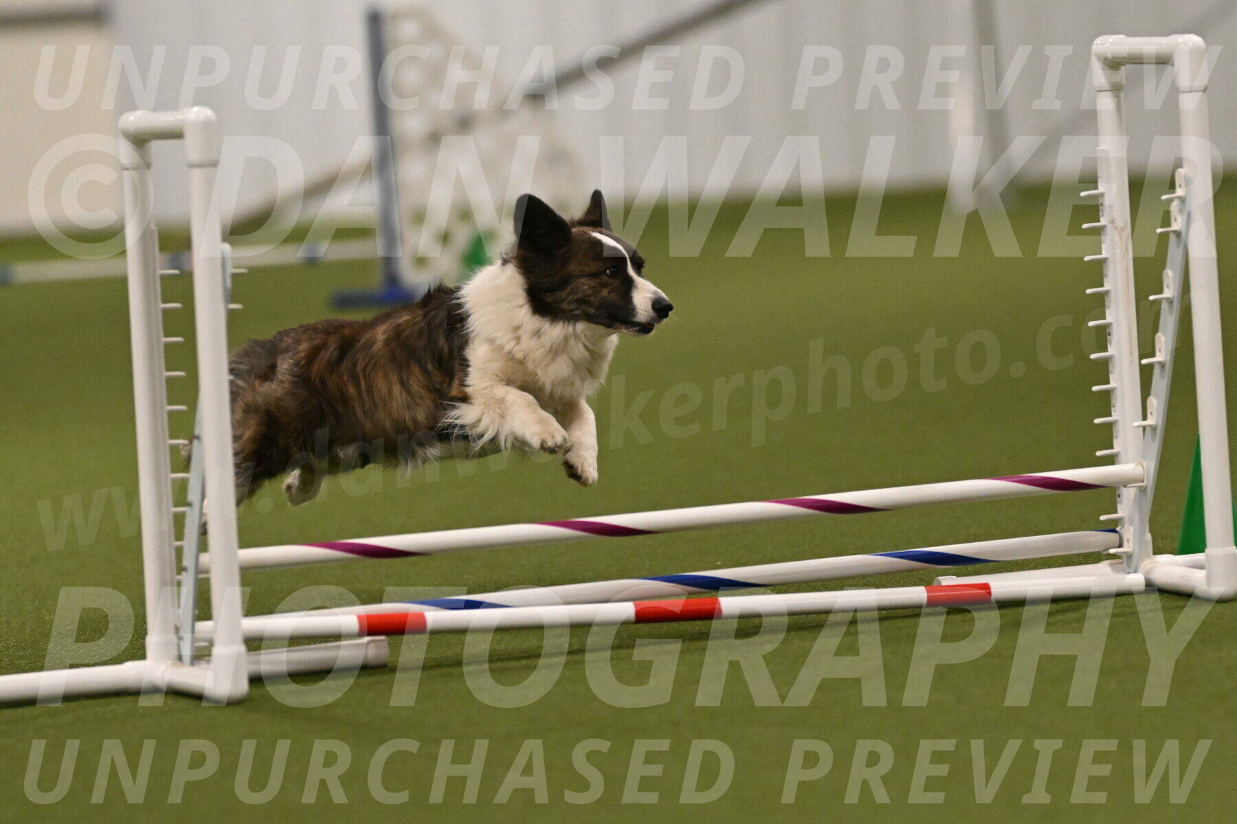 Jonny-Quest-Leslie-Masterson-10996