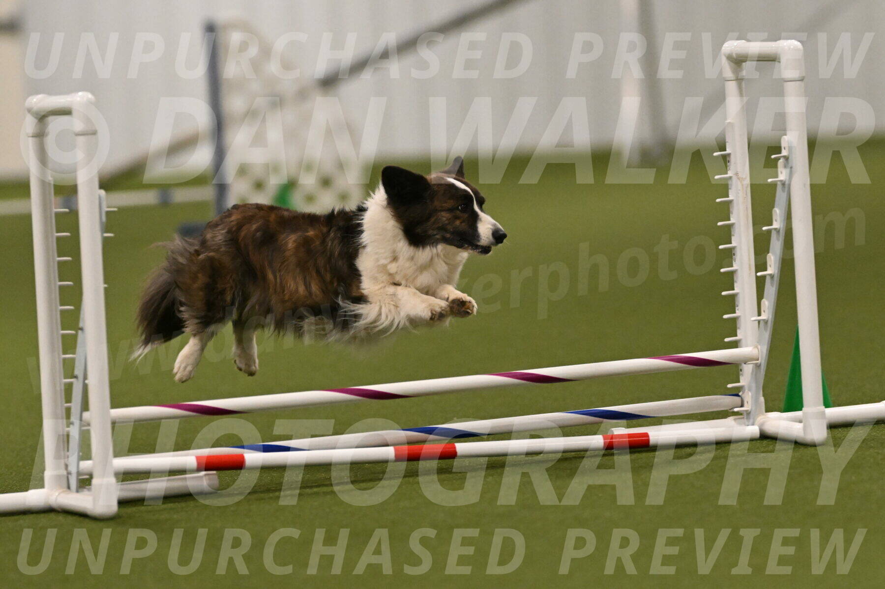 Jonny-Quest-Leslie-Masterson-10997