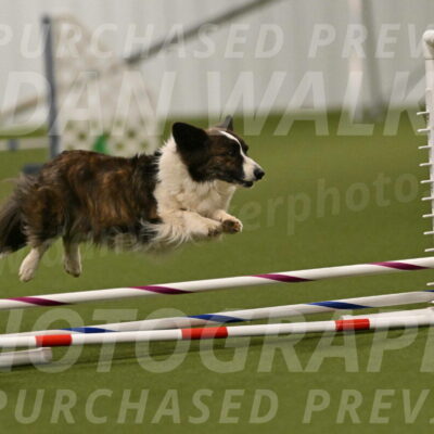 Jonny-Quest-Leslie-Masterson-10997