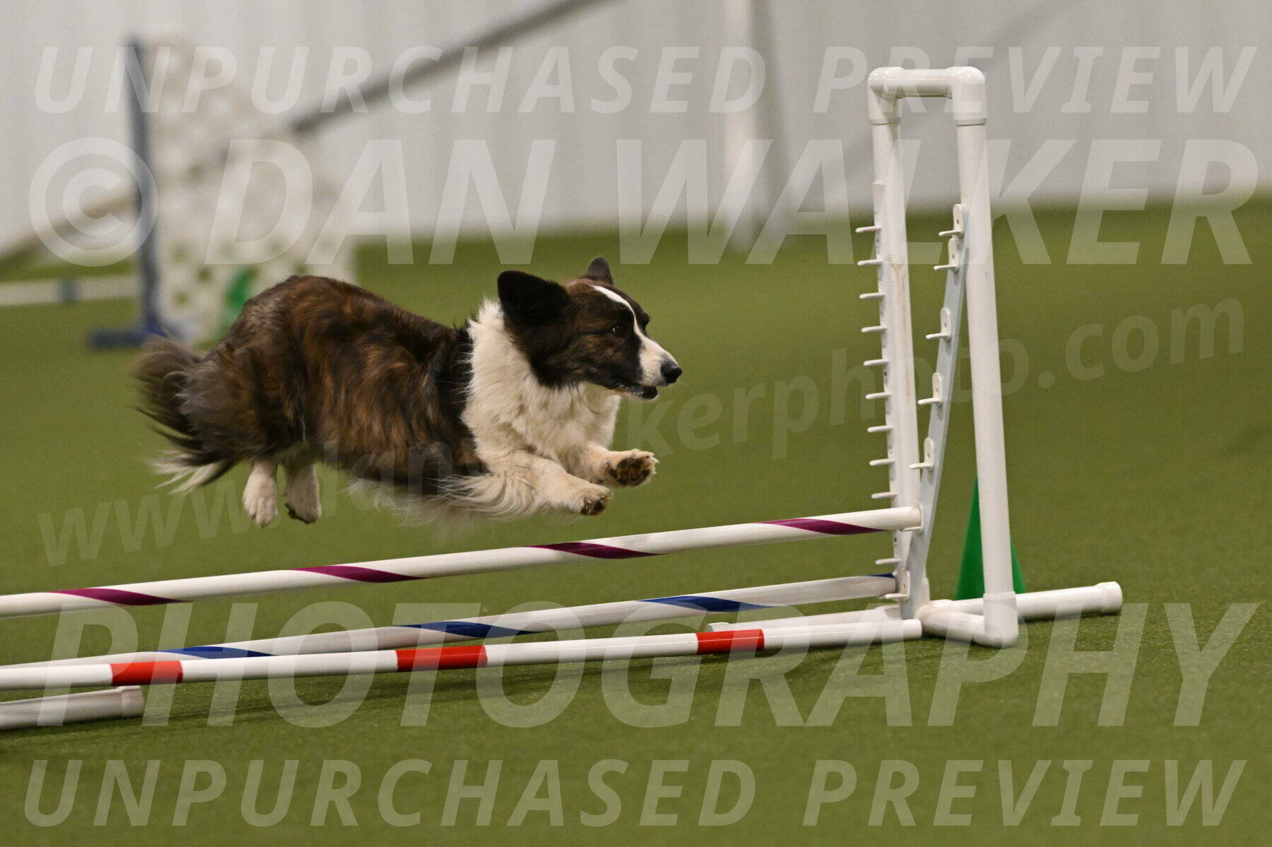 Jonny-Quest-Leslie-Masterson-10998