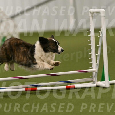 Jonny-Quest-Leslie-Masterson-10998