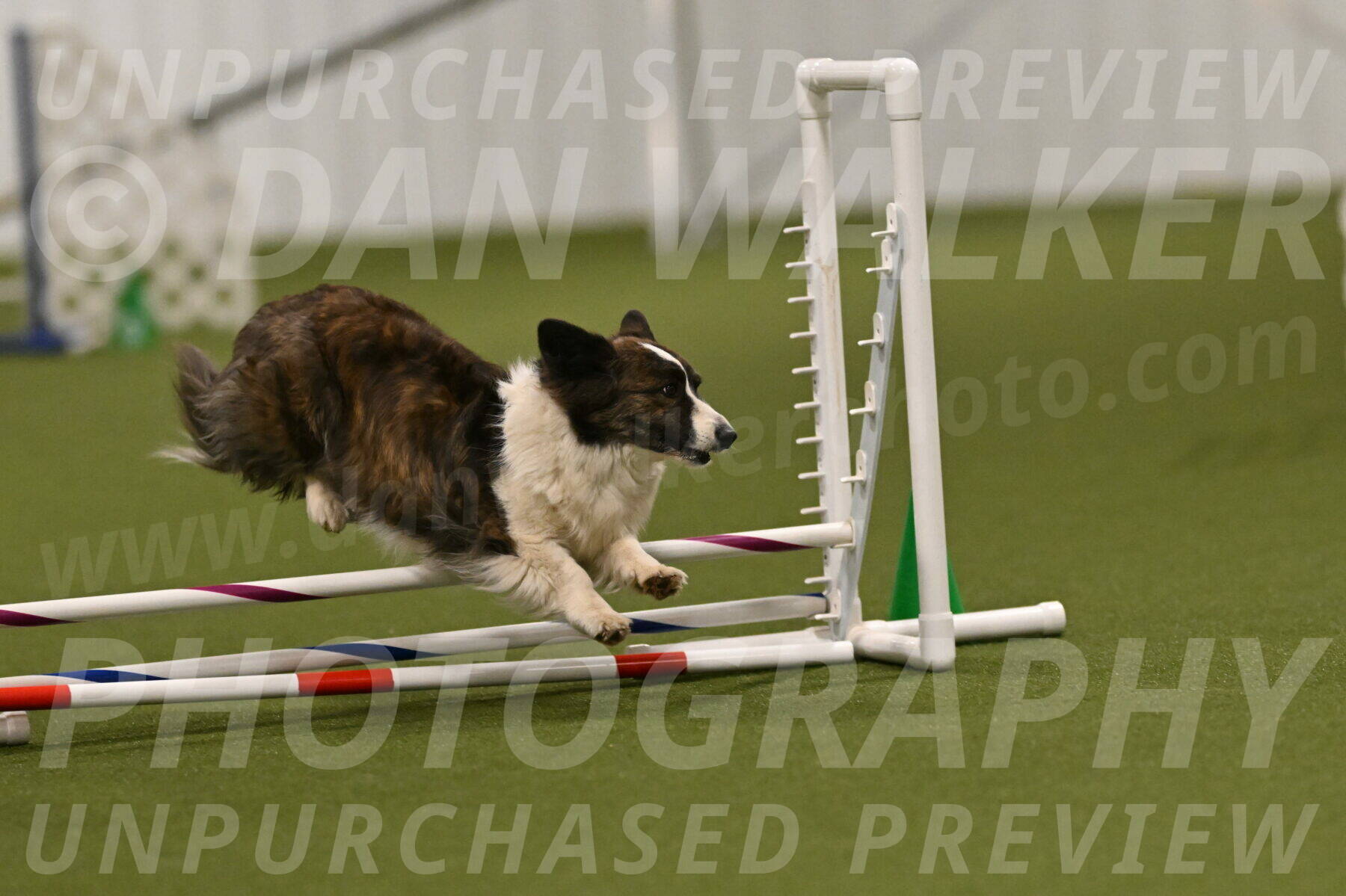 Jonny-Quest-Leslie-Masterson-10999