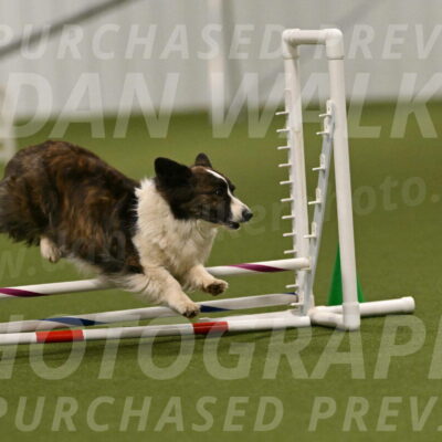 Jonny-Quest-Leslie-Masterson-10999