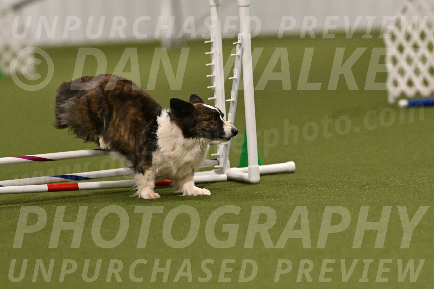 Jonny-Quest-Leslie-Masterson-11000