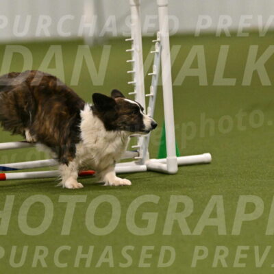 Jonny-Quest-Leslie-Masterson-11000