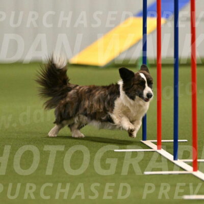 Jonny-Quest-Leslie-Masterson-11001