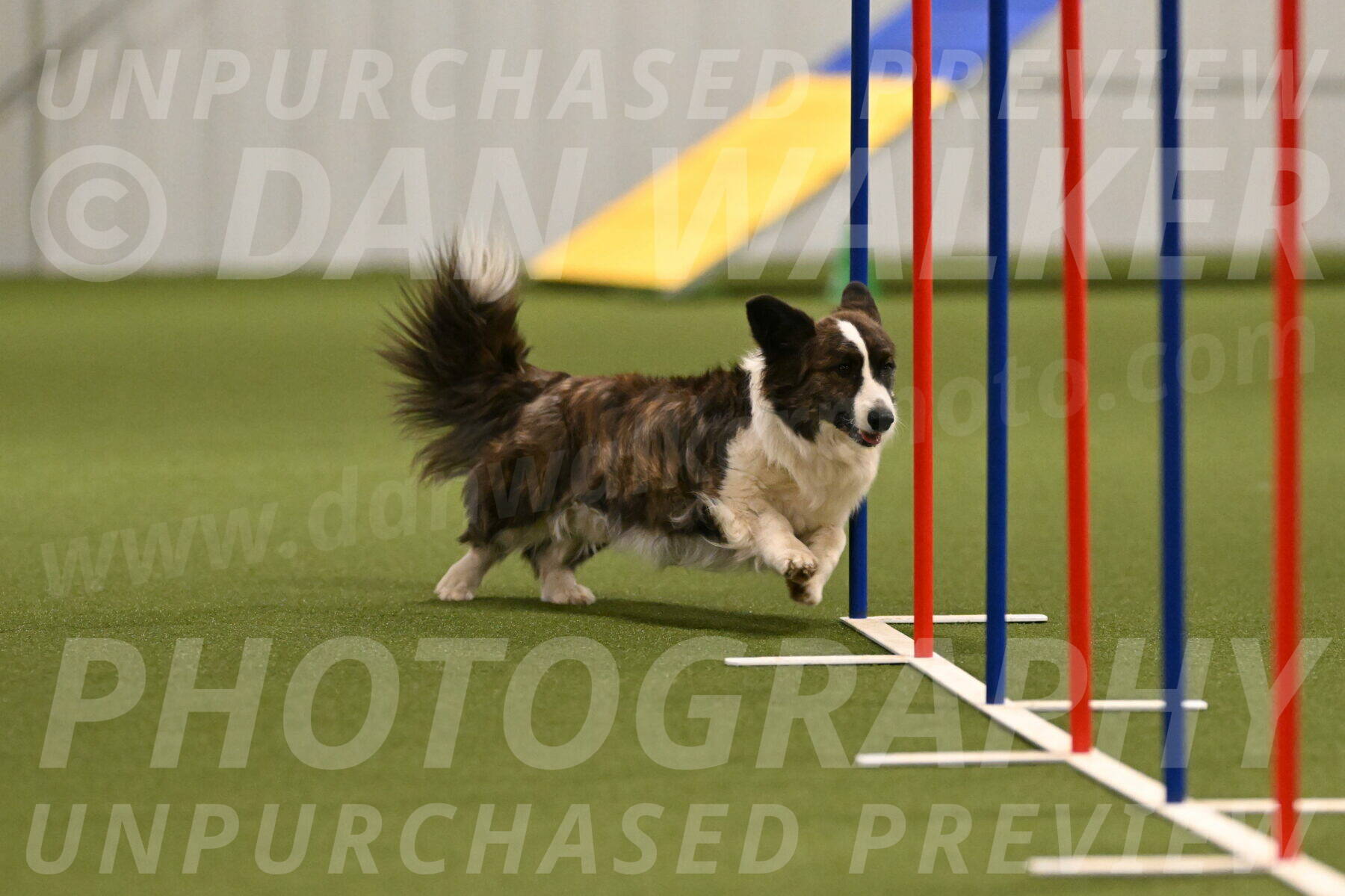 Jonny-Quest-Leslie-Masterson-11001