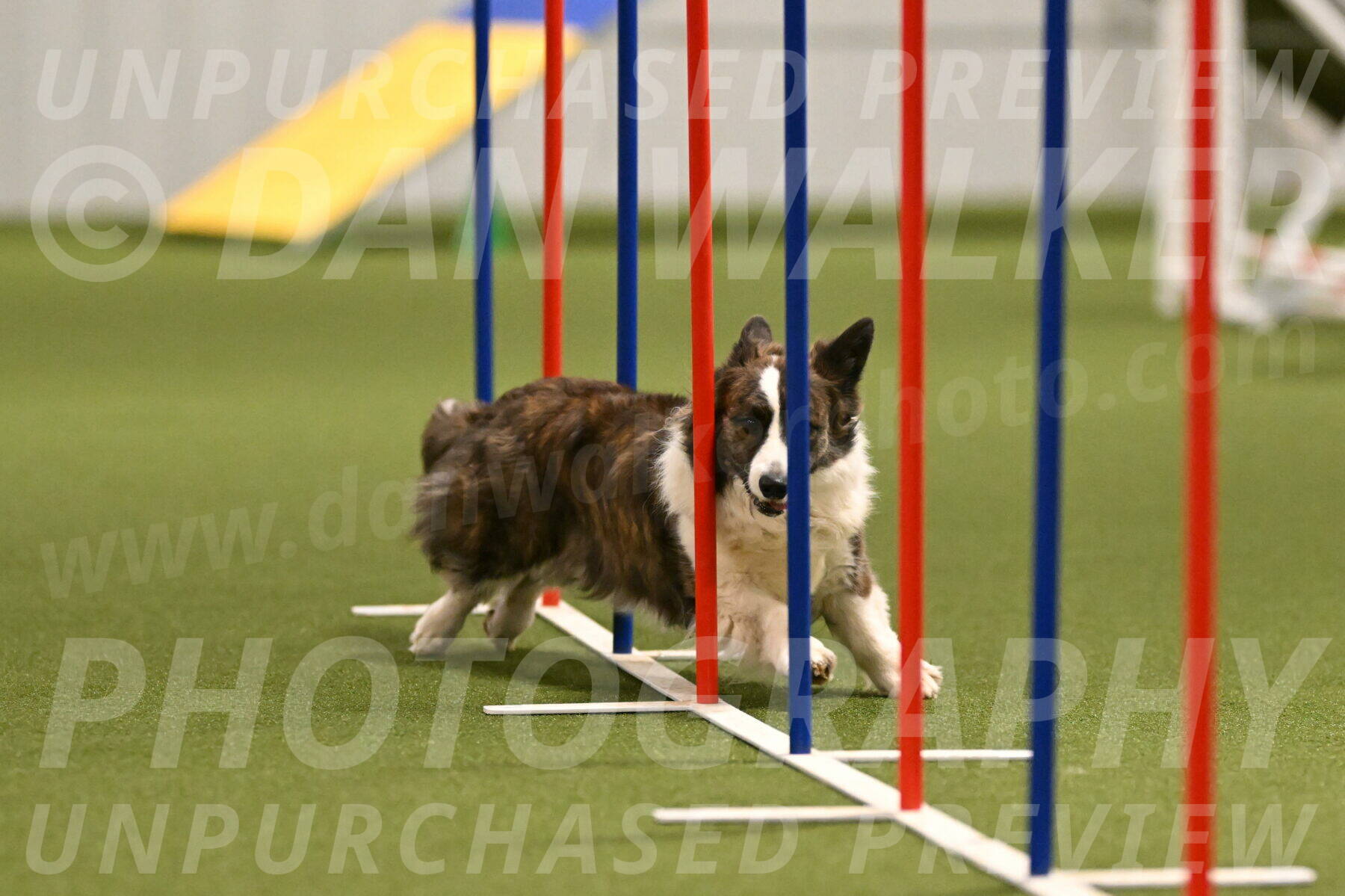 Jonny-Quest-Leslie-Masterson-11002