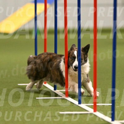 Jonny-Quest-Leslie-Masterson-11002