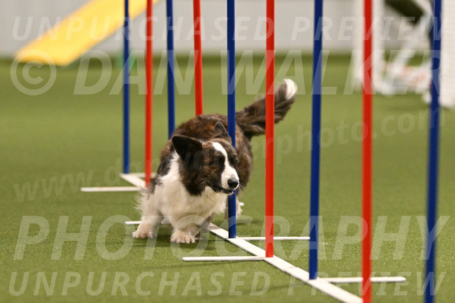 Jonny-Quest-Leslie-Masterson-11003