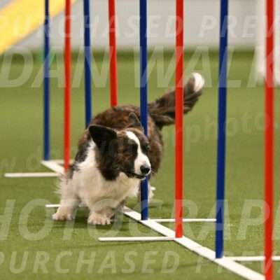 Jonny-Quest-Leslie-Masterson-11003