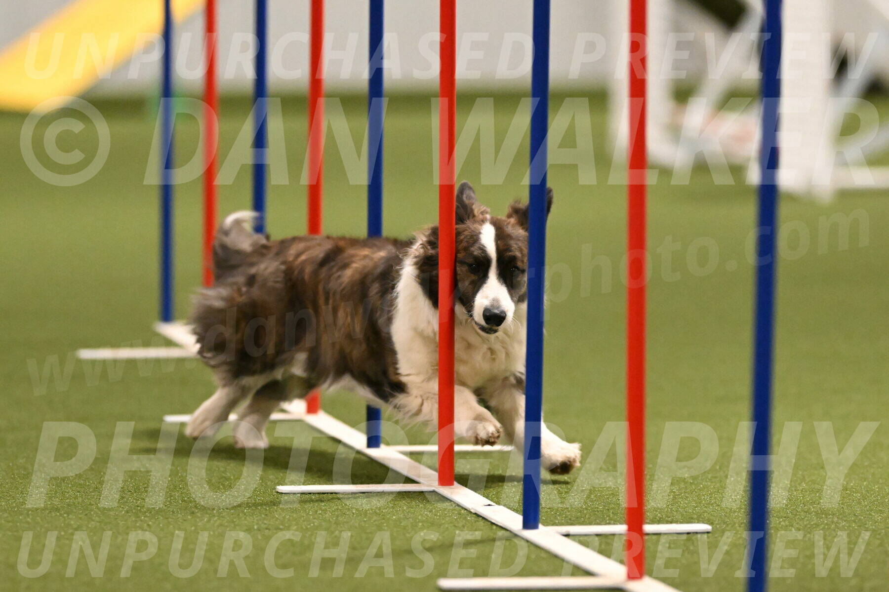 Jonny-Quest-Leslie-Masterson-11004