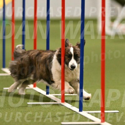 Jonny-Quest-Leslie-Masterson-11004