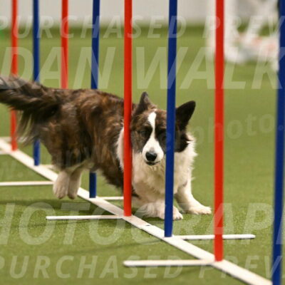 Jonny-Quest-Leslie-Masterson-11005