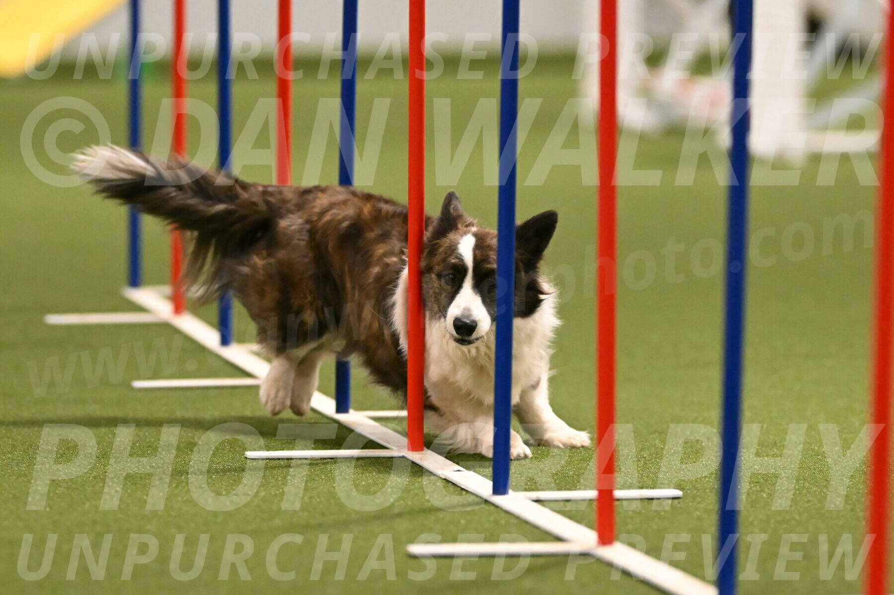 Jonny-Quest-Leslie-Masterson-11005