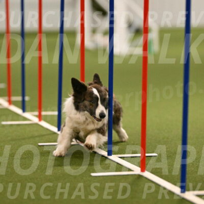 Jonny-Quest-Leslie-Masterson-11006