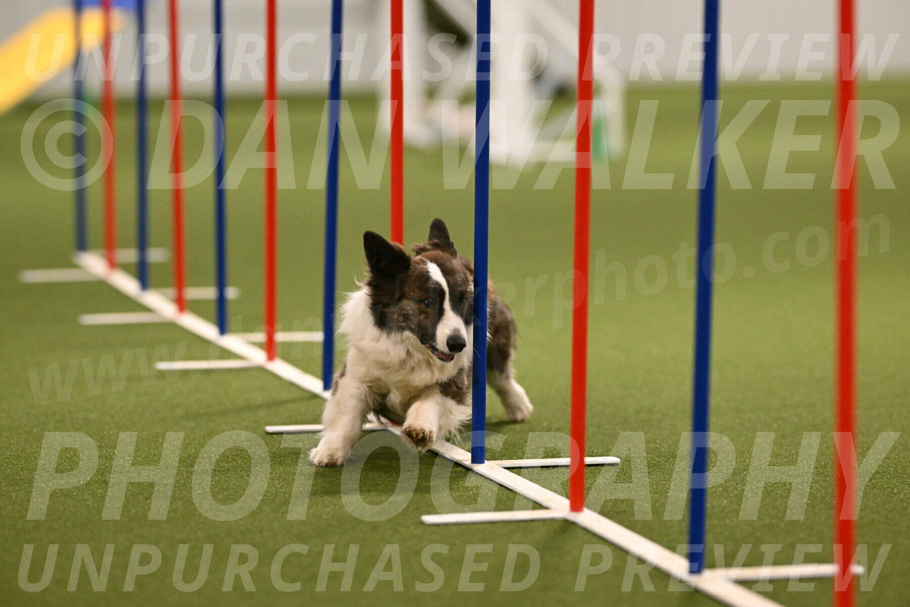 Jonny-Quest-Leslie-Masterson-11006