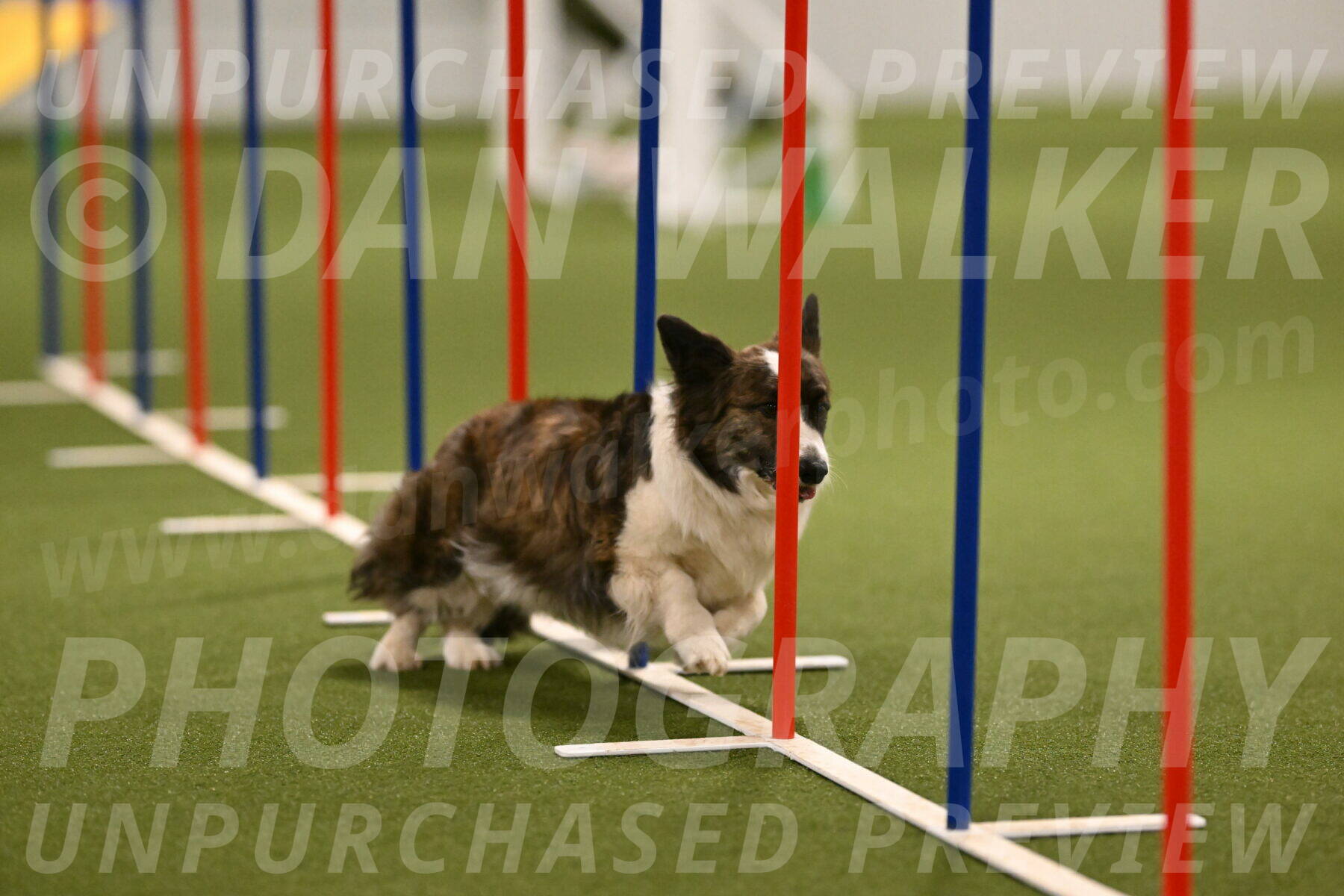 Jonny-Quest-Leslie-Masterson-11007