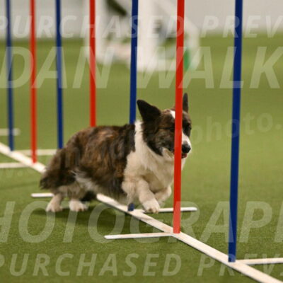 Jonny-Quest-Leslie-Masterson-11007