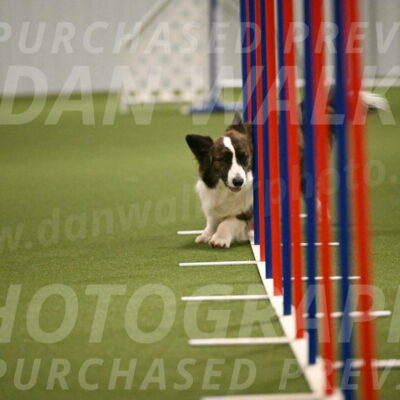 Jonny-Quest-Leslie-Masterson-11008