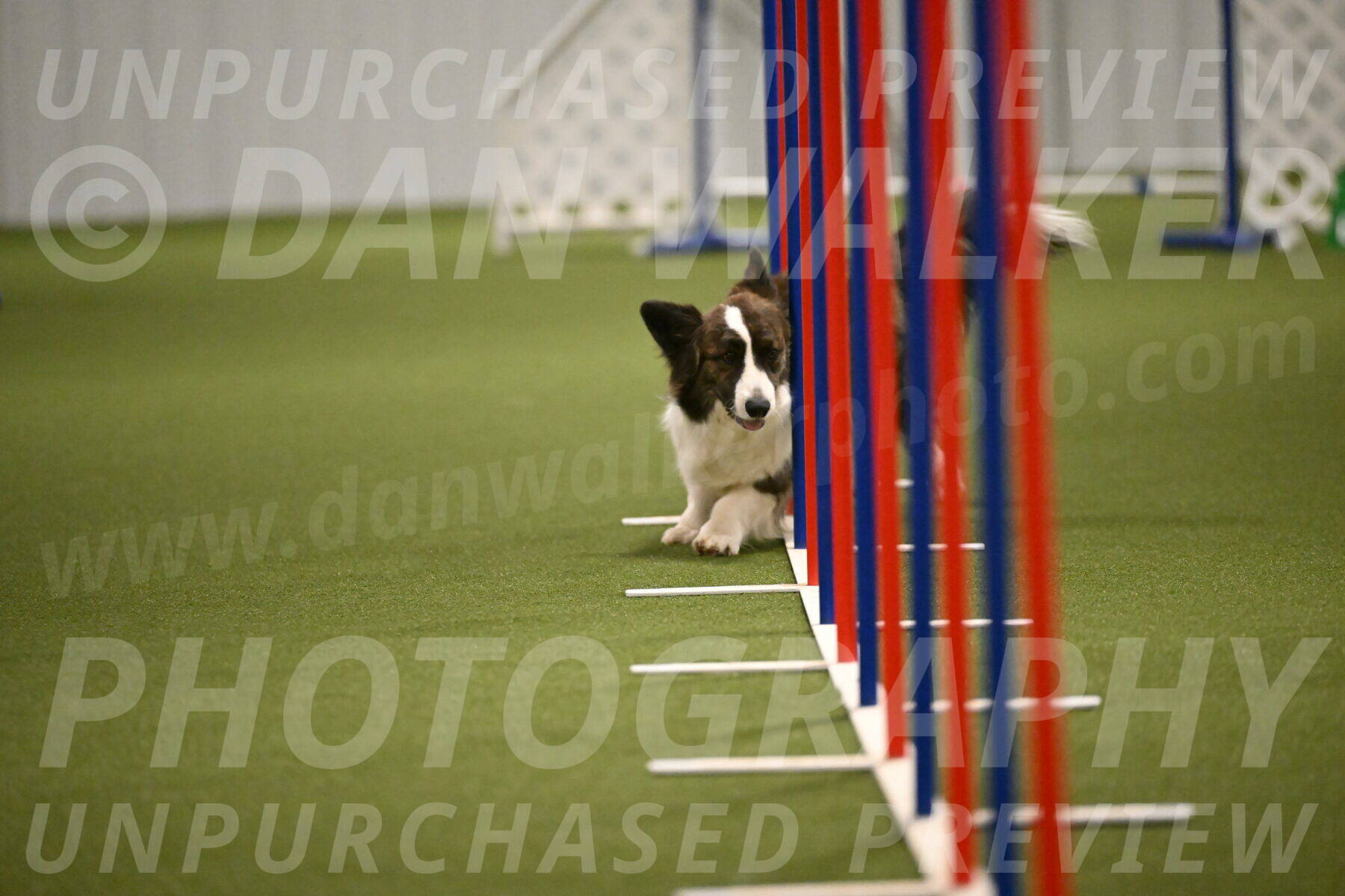 Jonny-Quest-Leslie-Masterson-11008