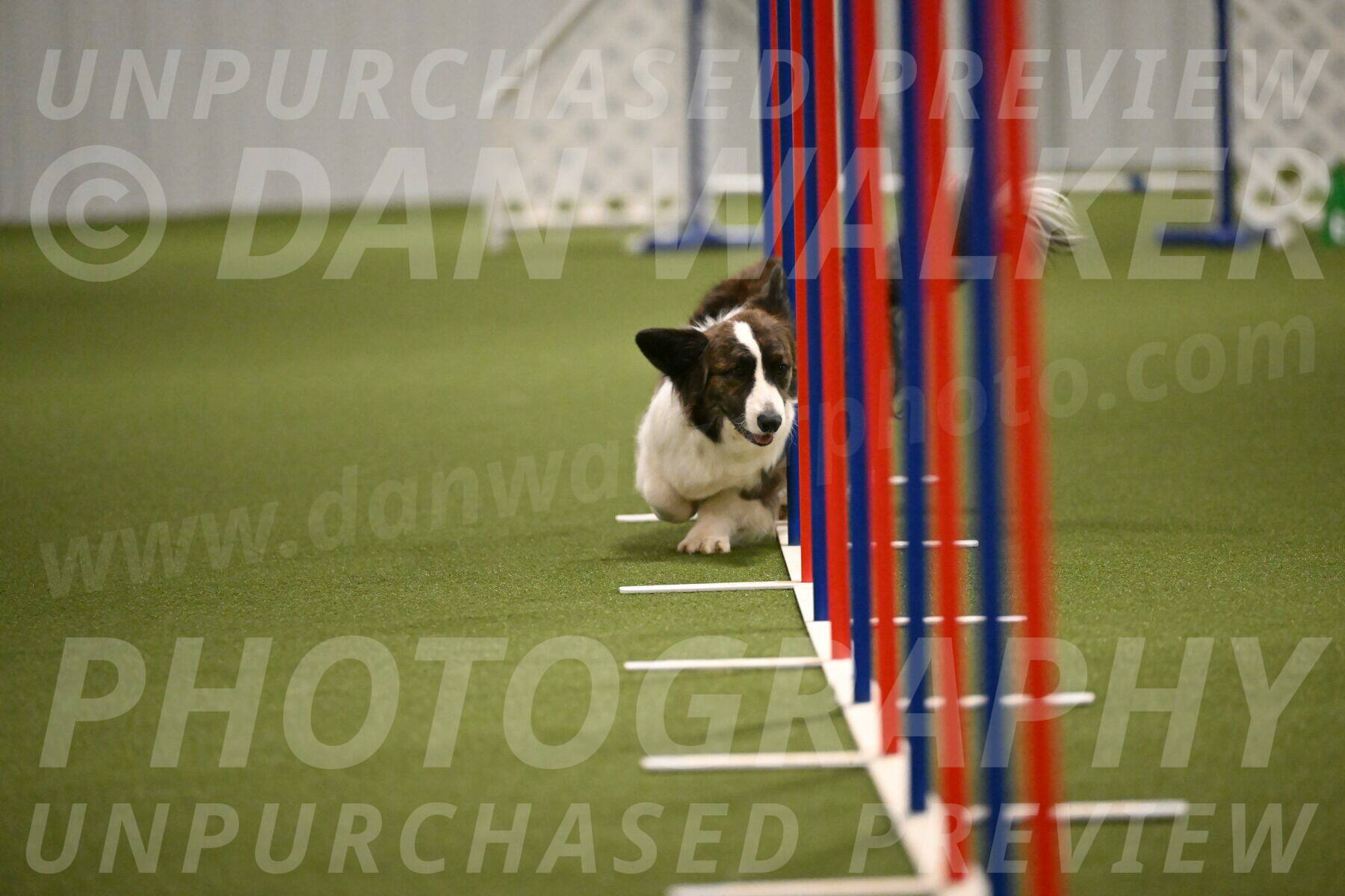 Jonny-Quest-Leslie-Masterson-11009