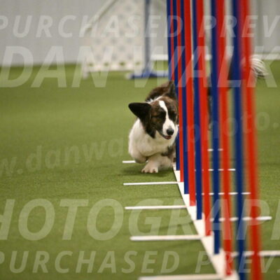 Jonny-Quest-Leslie-Masterson-11009