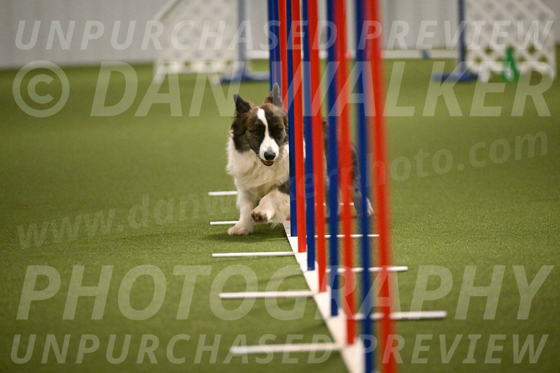 Jonny-Quest-Leslie-Masterson-11010