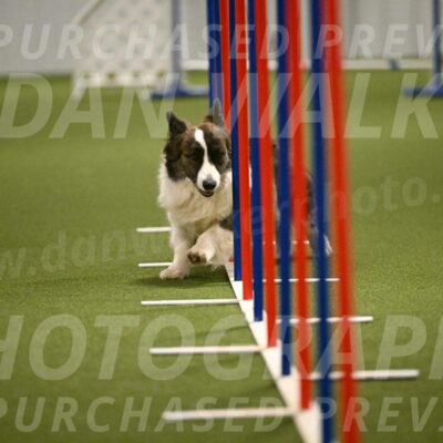 Jonny-Quest-Leslie-Masterson-11010