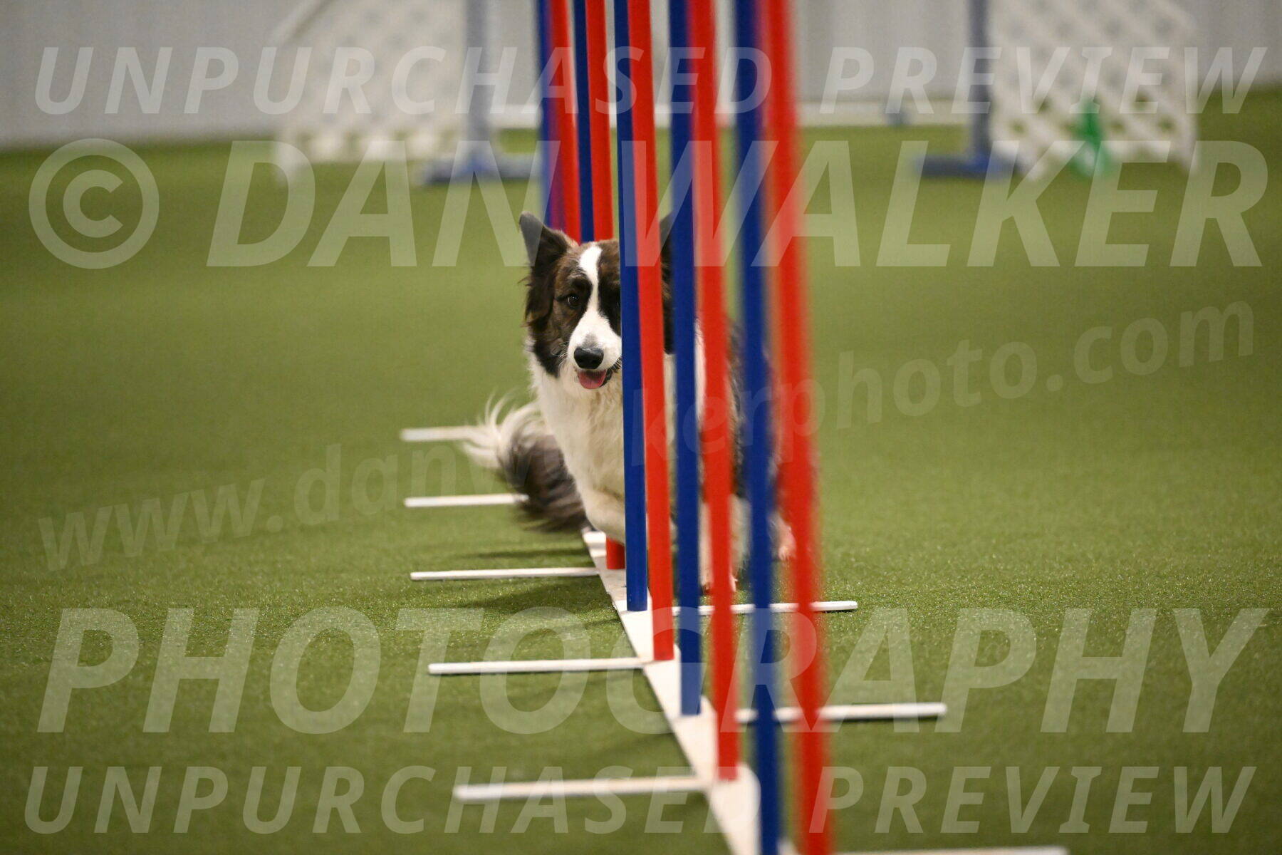 Jonny-Quest-Leslie-Masterson-11011