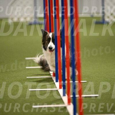 Jonny-Quest-Leslie-Masterson-11011