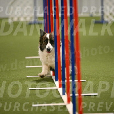 Jonny-Quest-Leslie-Masterson-11012