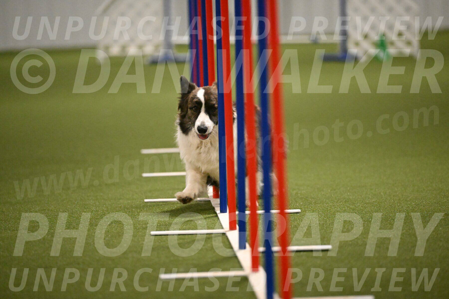 Jonny-Quest-Leslie-Masterson-11012