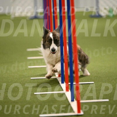 Jonny-Quest-Leslie-Masterson-11013