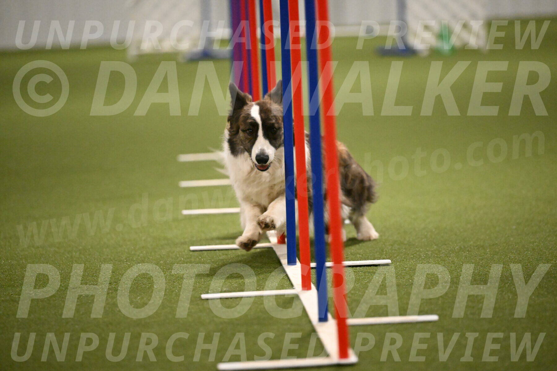 Jonny-Quest-Leslie-Masterson-11013