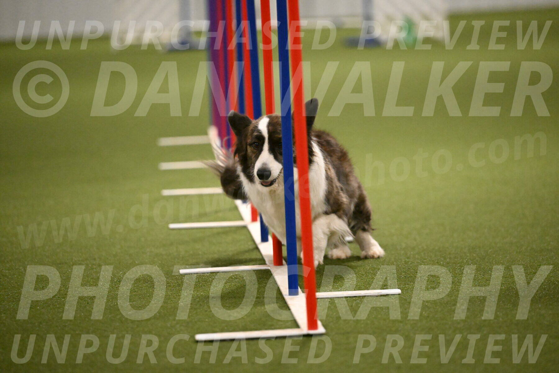 Jonny-Quest-Leslie-Masterson-11014