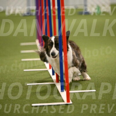 Jonny-Quest-Leslie-Masterson-11014