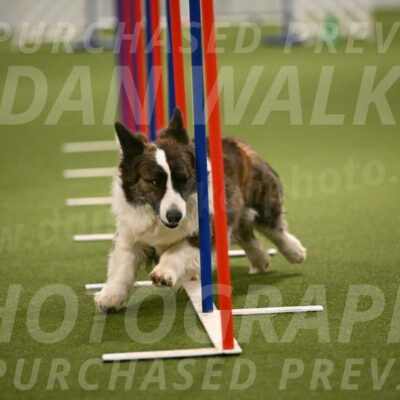 Jonny-Quest-Leslie-Masterson-11015