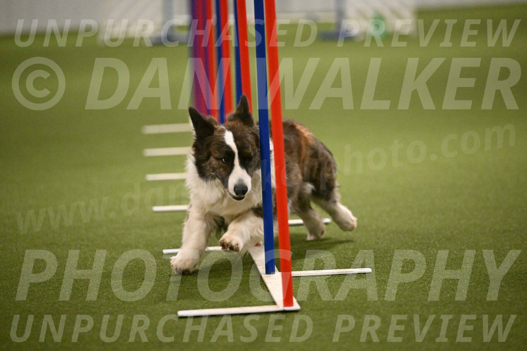 Jonny-Quest-Leslie-Masterson-11015