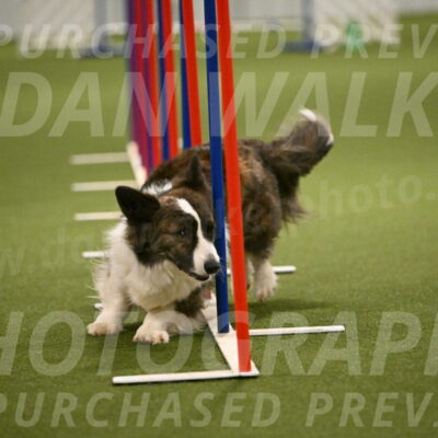 Jonny-Quest-Leslie-Masterson-11016