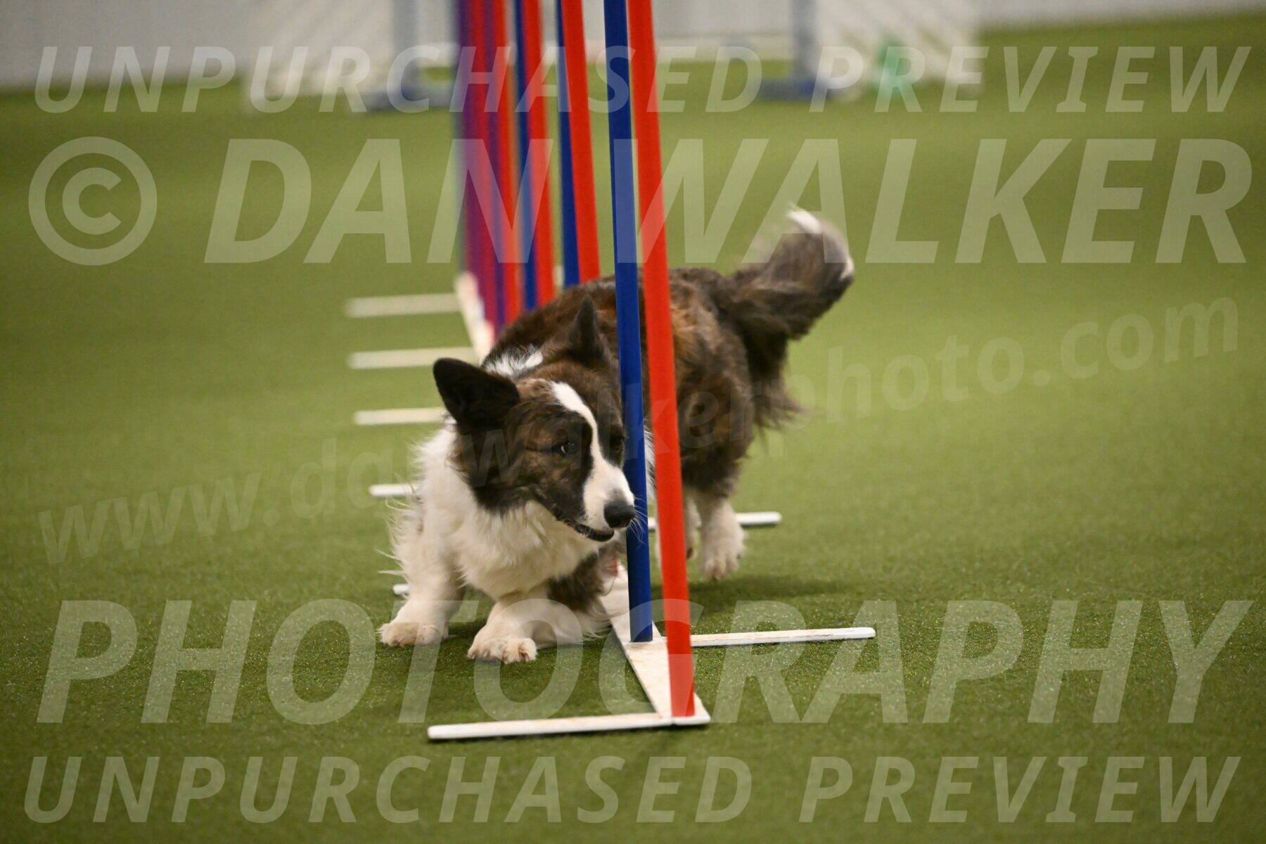 Jonny-Quest-Leslie-Masterson-11016