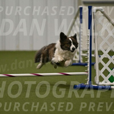 Jonny-Quest-Leslie-Masterson-11017