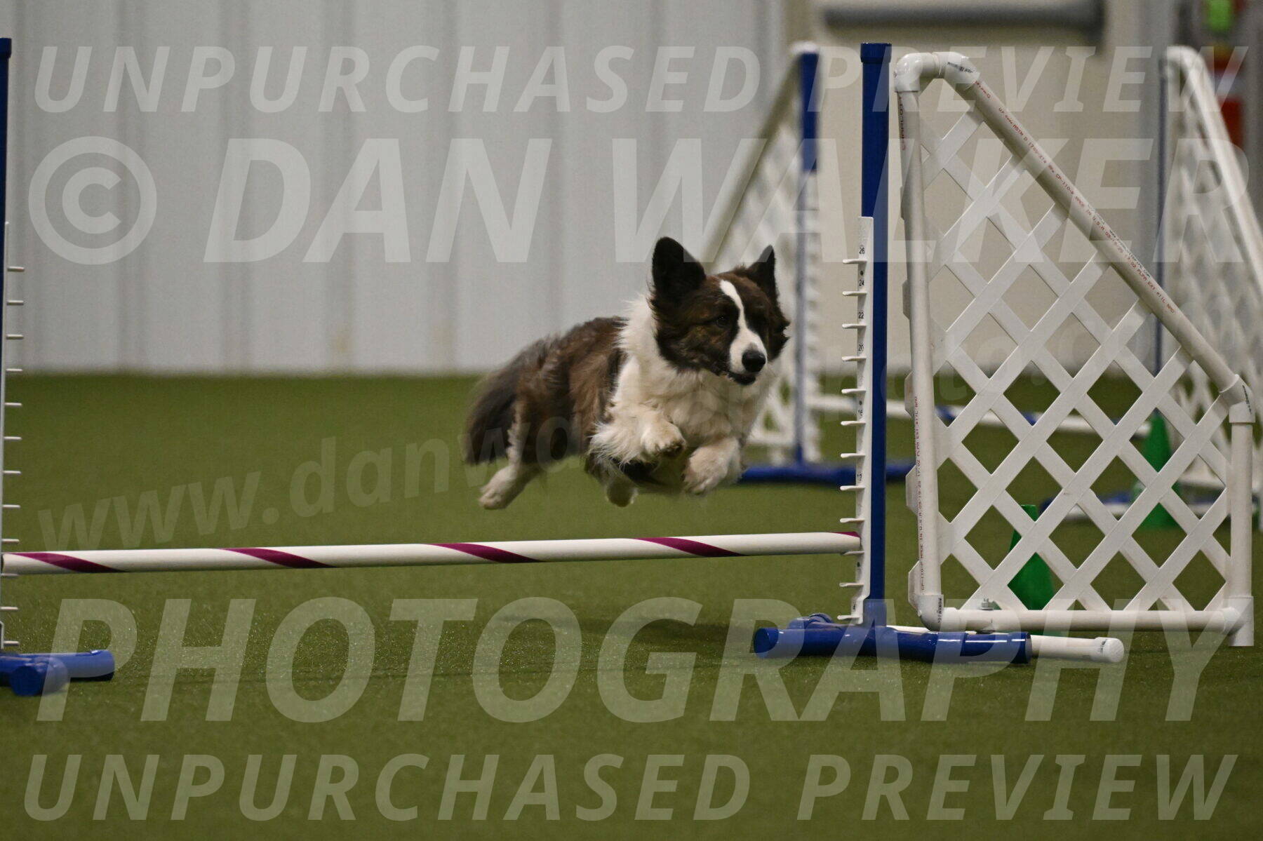 Jonny-Quest-Leslie-Masterson-11017