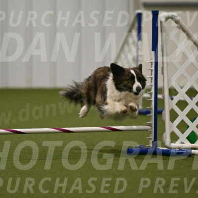 Jonny-Quest-Leslie-Masterson-11018