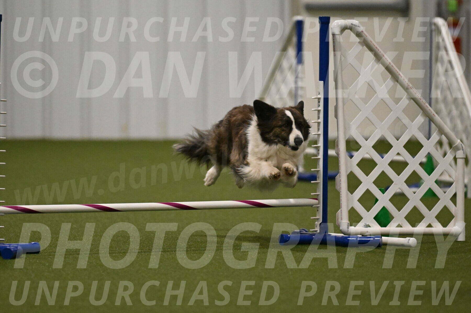 Jonny-Quest-Leslie-Masterson-11018